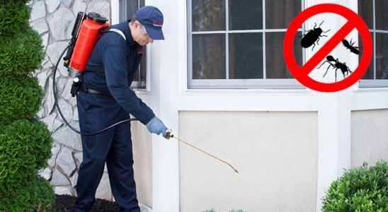 Sarayköy Böcek İlaçlama böcek ilaçlama ve haşere kontrolü — ilaclama-tr.com